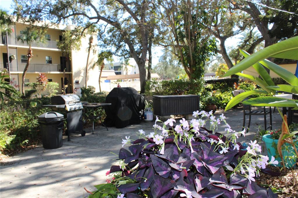 11485 Oakhurst Road, Unit 1200215 Largo, FL 33774 - Photo 58 of 68 a backyard of a house with lots of green space