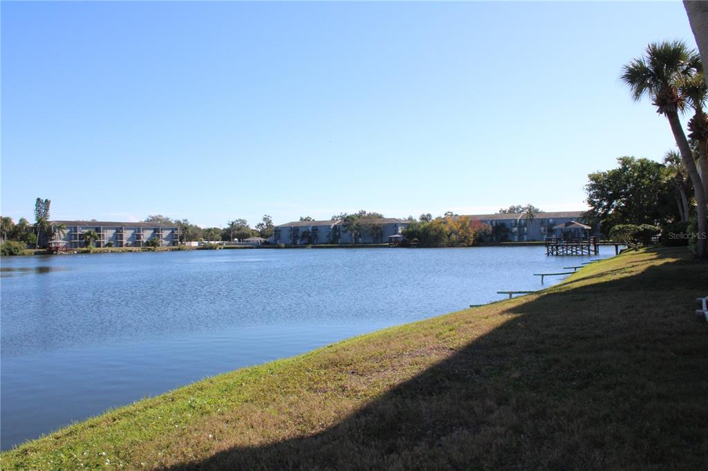 11485 Oakhurst Road, Unit 1200215 Largo, FL 33774 - Photo 63 of 68 a view of a lake with houses in the back