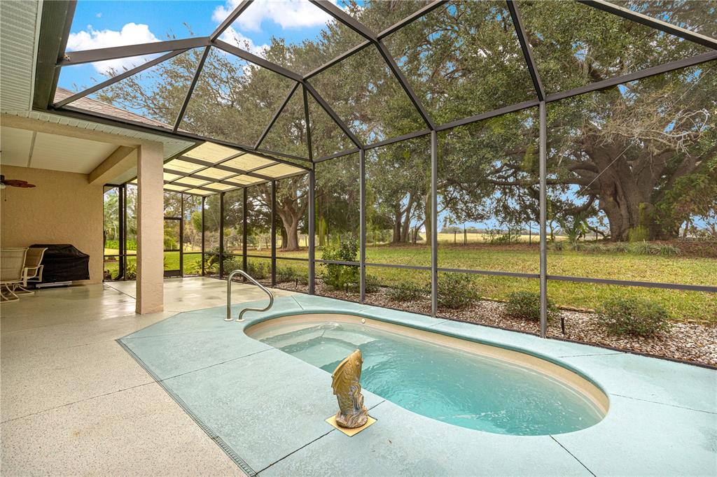 17187 Southeast 116th Court Road Summerfield, FL 34491 - Photo 36 of 59