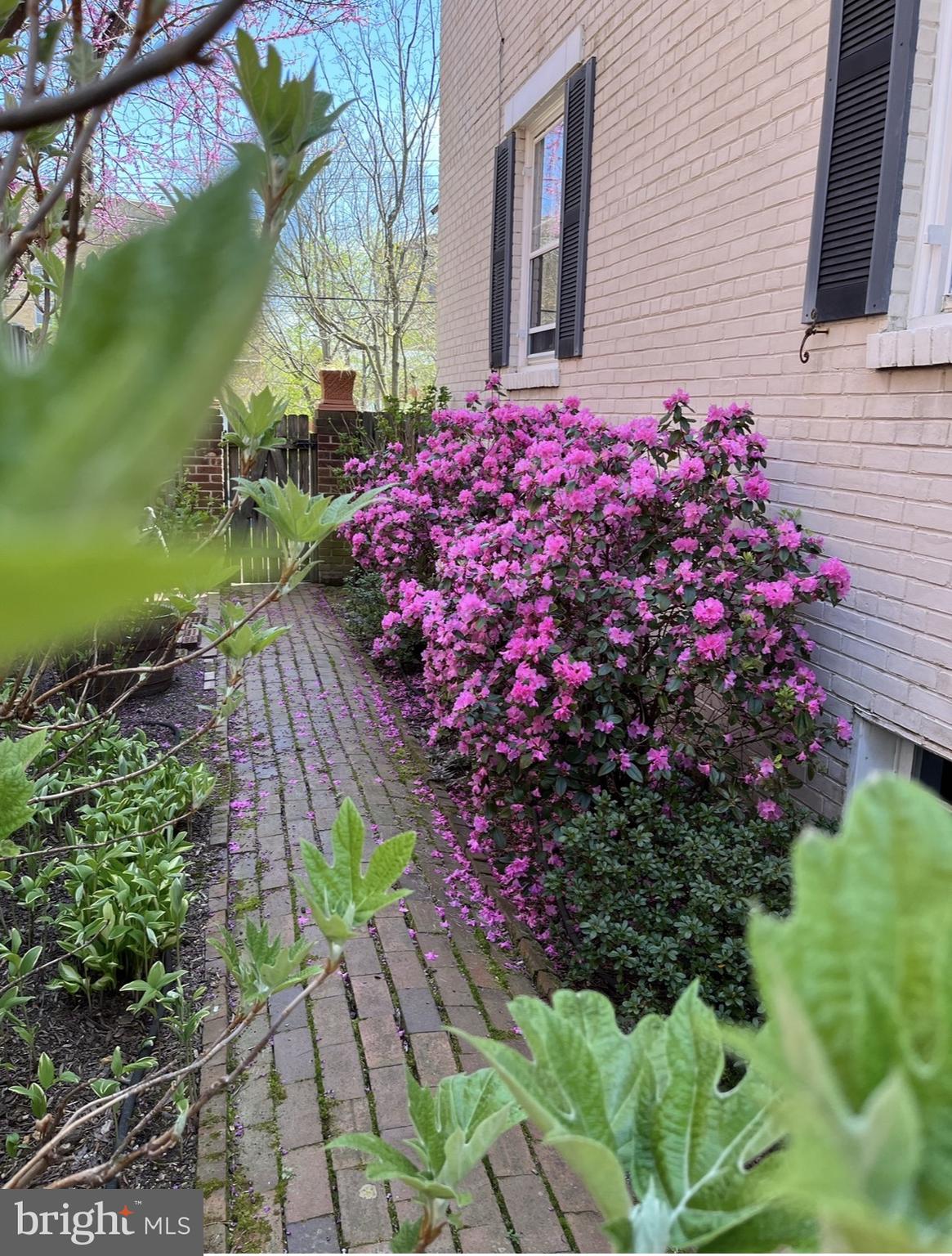 4228 40th Street Northwest Washington, DC 20016 - Photo 45 of 57 a front view of a house with a yard and flowers