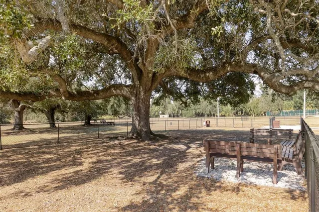a view of a chairs and table under an umbrella