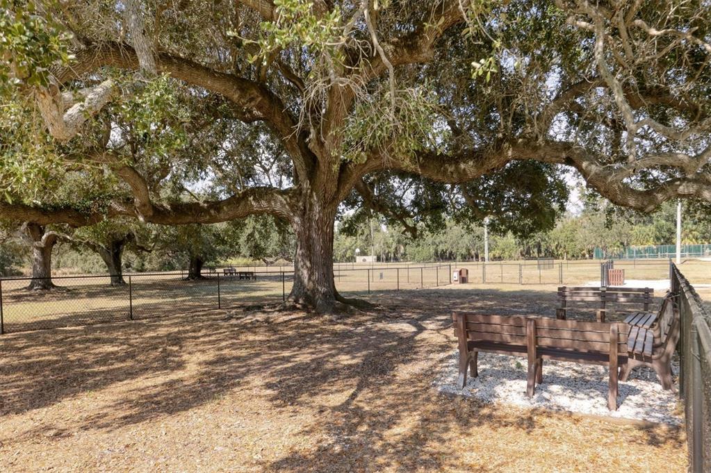 4513 Morningside, Unit 4 Sarasota, FL 34235 - Photo 40 of 81 a view of yard with trees