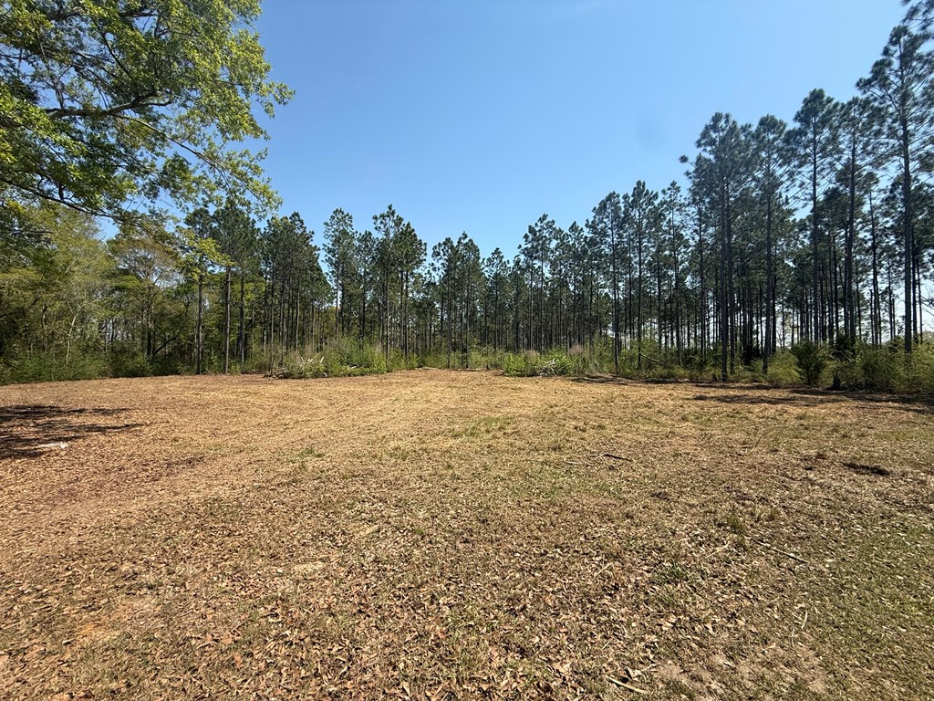 Lot 2 South County Road Slocomb, AL 36375 - Photo 15 of 19