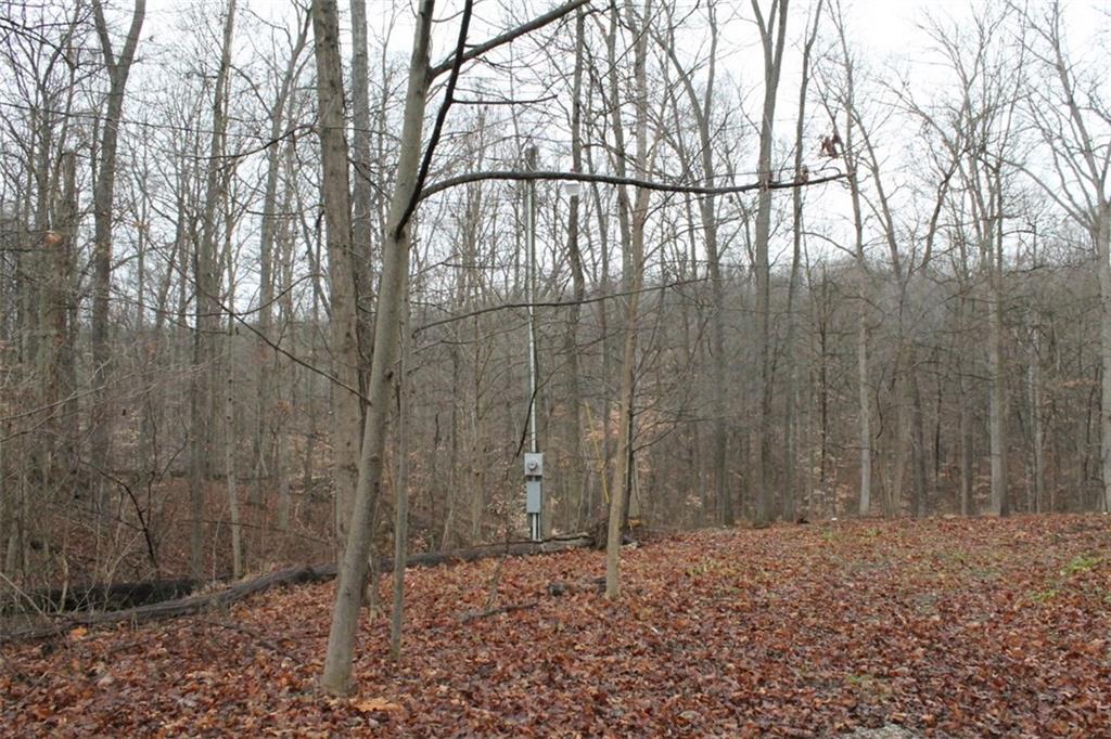 7400 North Oak Ridge Road Morgantown, IN 46160 - Photo 2 of 4 Gallery Image 2