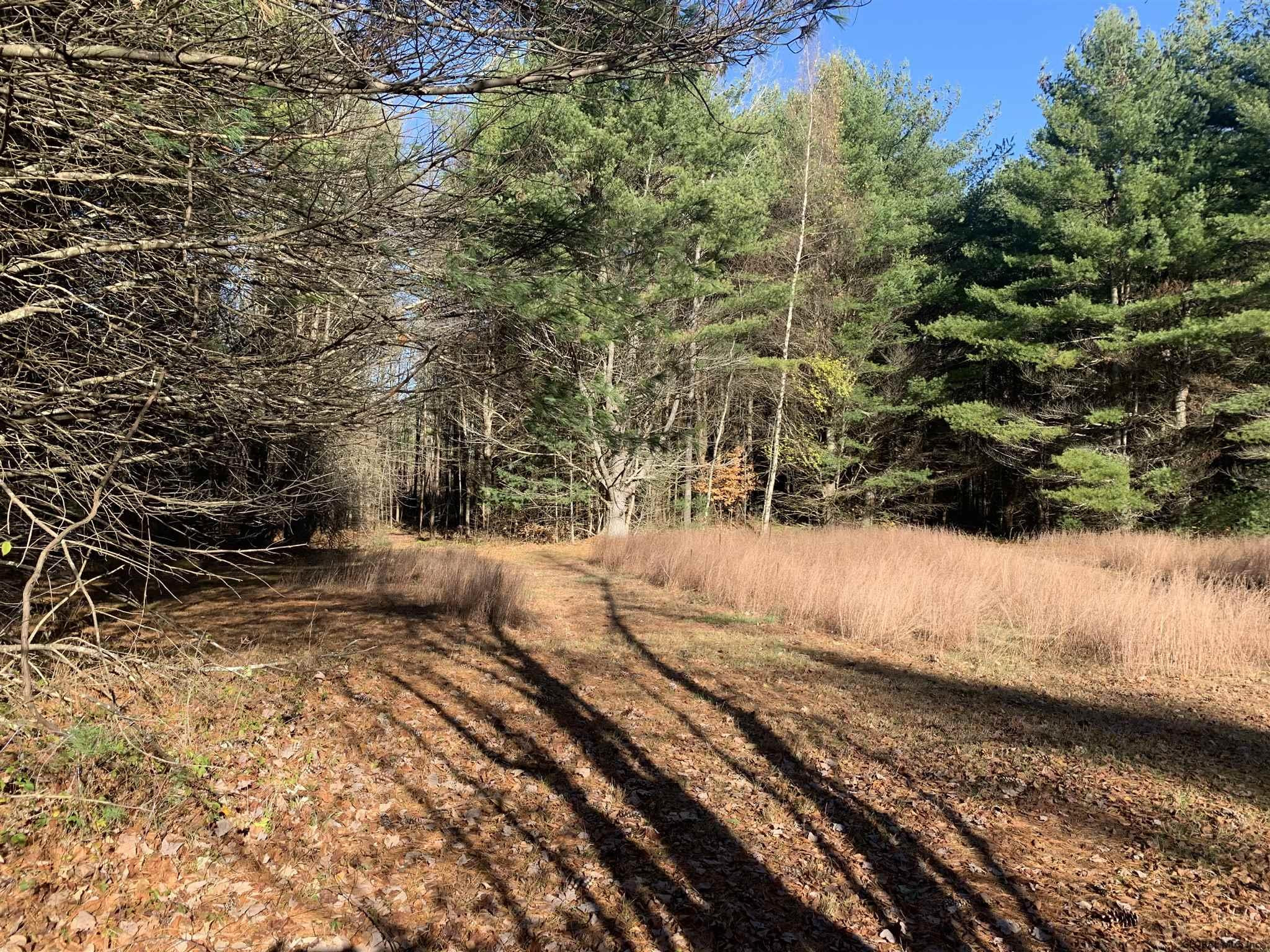 22 Barney Road Greenfield, NY 12850 - Photo 3 of 12 Photo 3