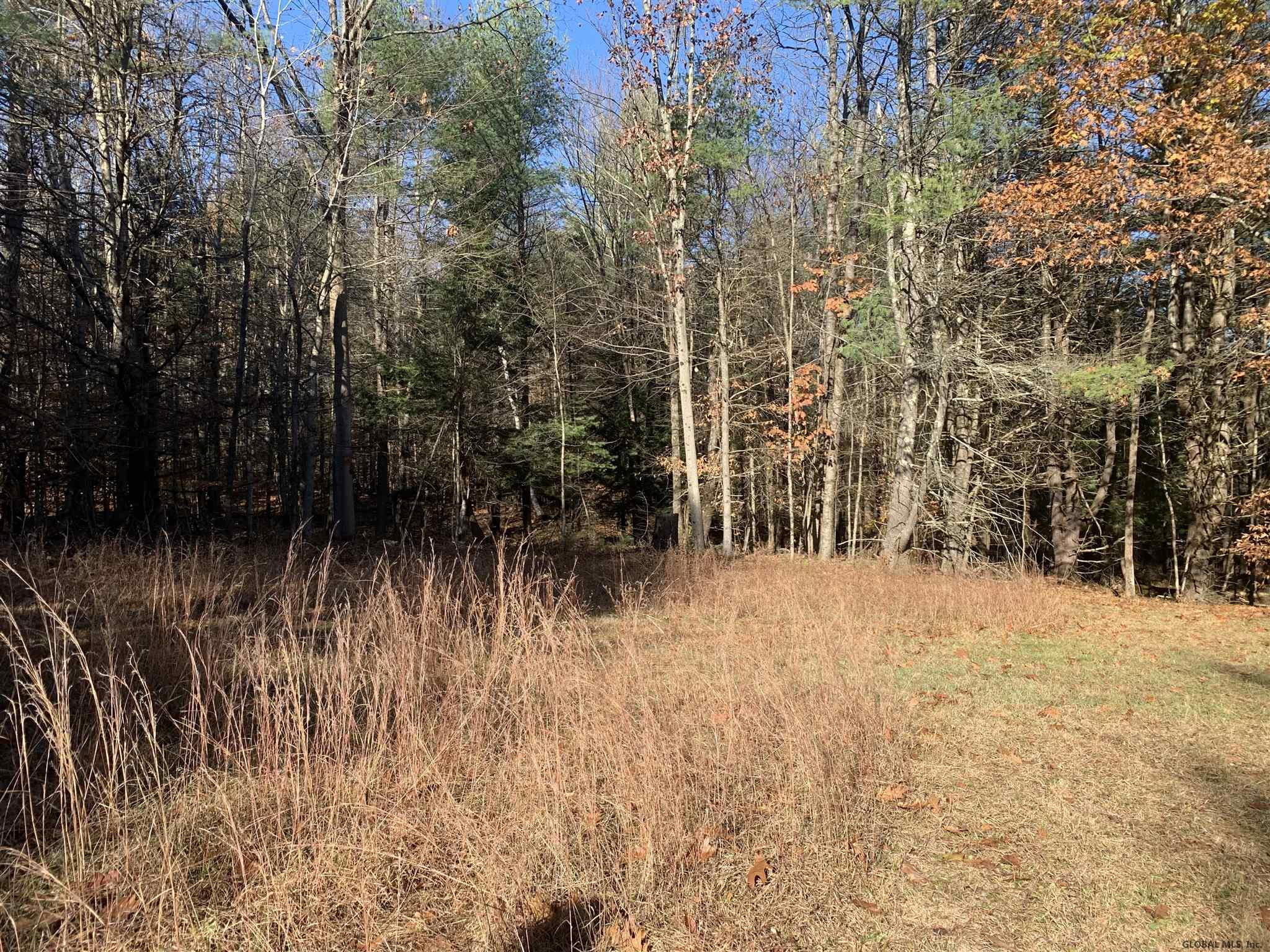 22 Barney Road Greenfield, NY 12850 - Photo 8 of 12 Photo 8