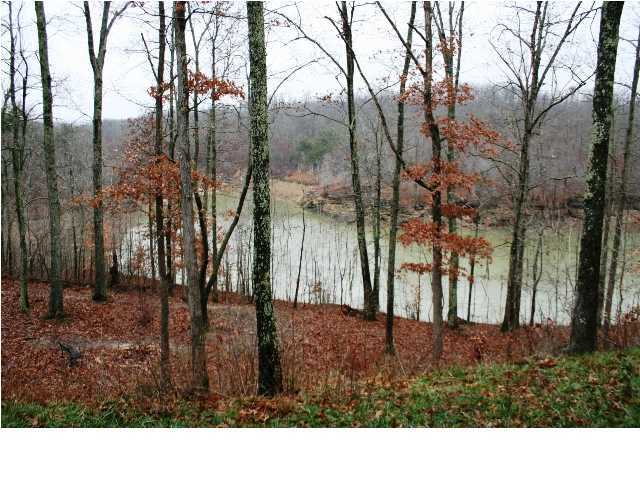 575 Furnace Branch Road Bee Spring, KY 42207 - Photo 4 of 16 Additional Photo