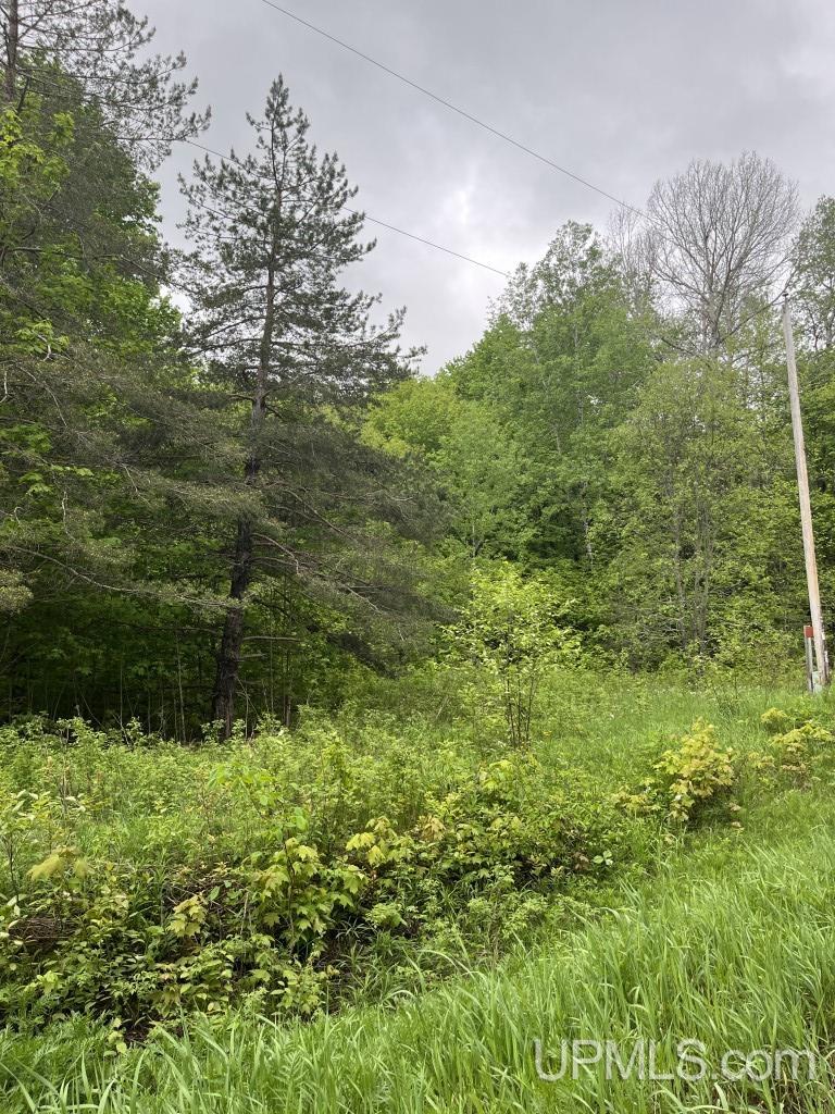 Tbd Tbd 26th Road Chatham, MI 49816 - Photo 6 of 15