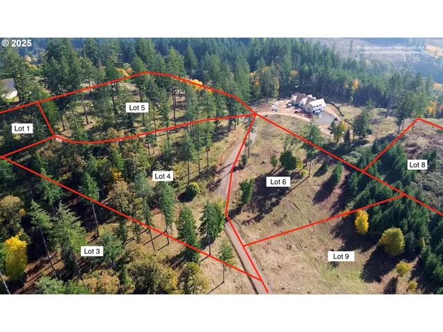 a view of a yard with plants and large trees