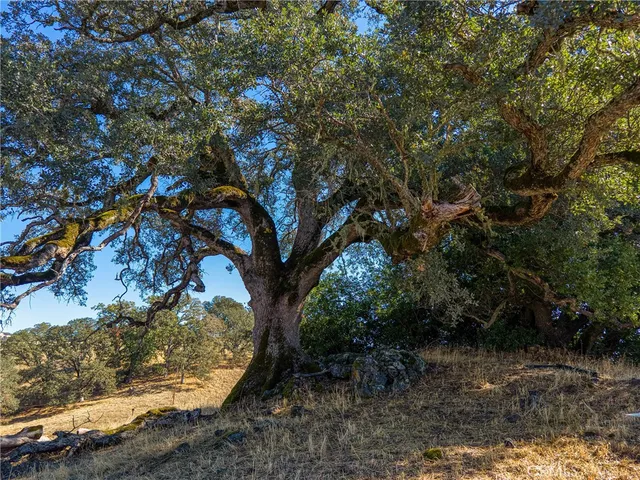 a view of water heater on a wooden floor