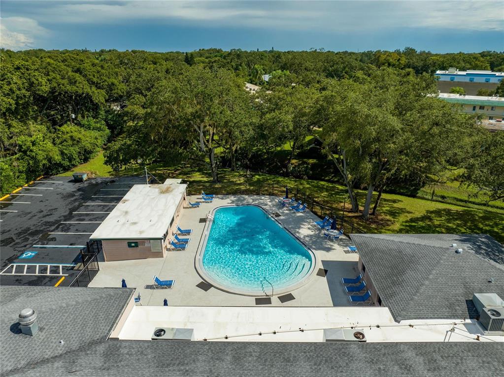 2063 Pine Ridge Drive Clearwater, FL 33763 - Photo 53 of 60
