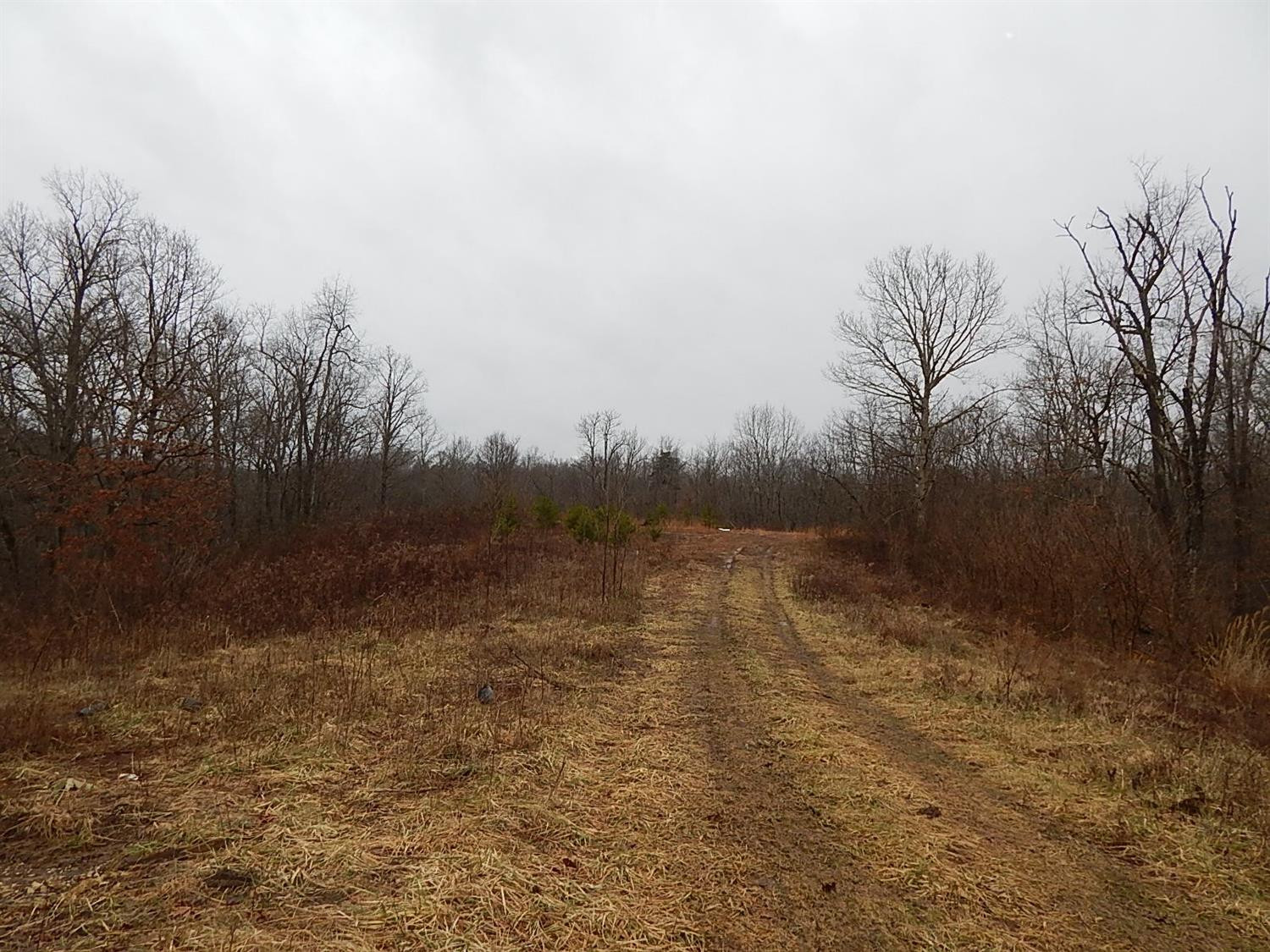 2085 Orear Road Jeffersonville, KY 40337 - Photo 23 of 44 Listing Photo