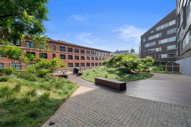a view of a garden with potted plants