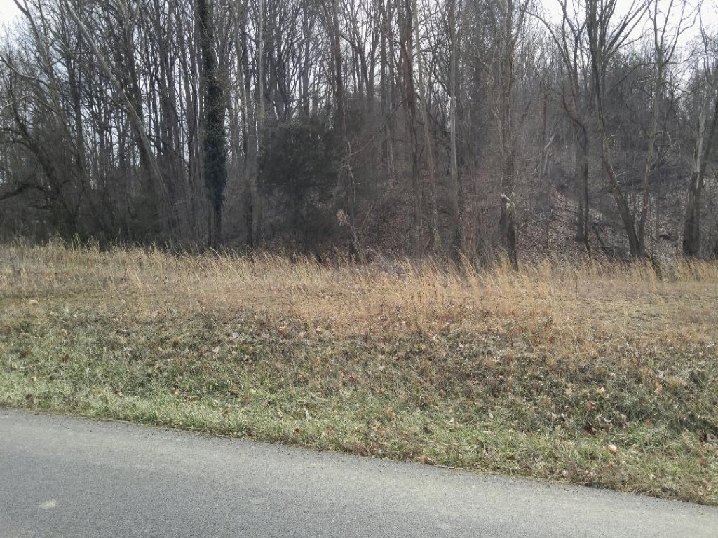 590 Newt Good Road, Unit 12 Limestone, TN 37681 - Photo 1 of 3 rd ft