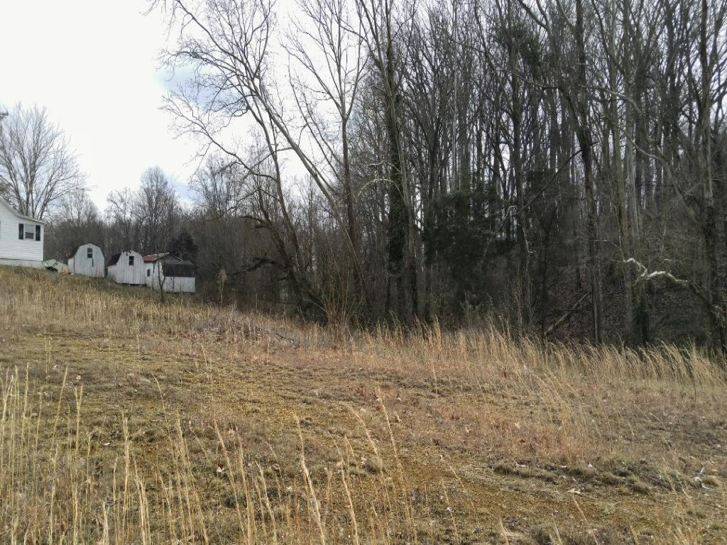 590 Newt Good Road, Unit 12 Limestone, TN 37681 - Photo 3 of 3 Rd to left