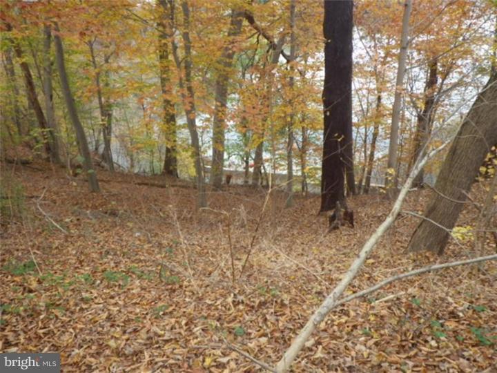 37-000 Crum Creek Road Media, PA 19063 - Photo 3 of 13 Gallery Image 3