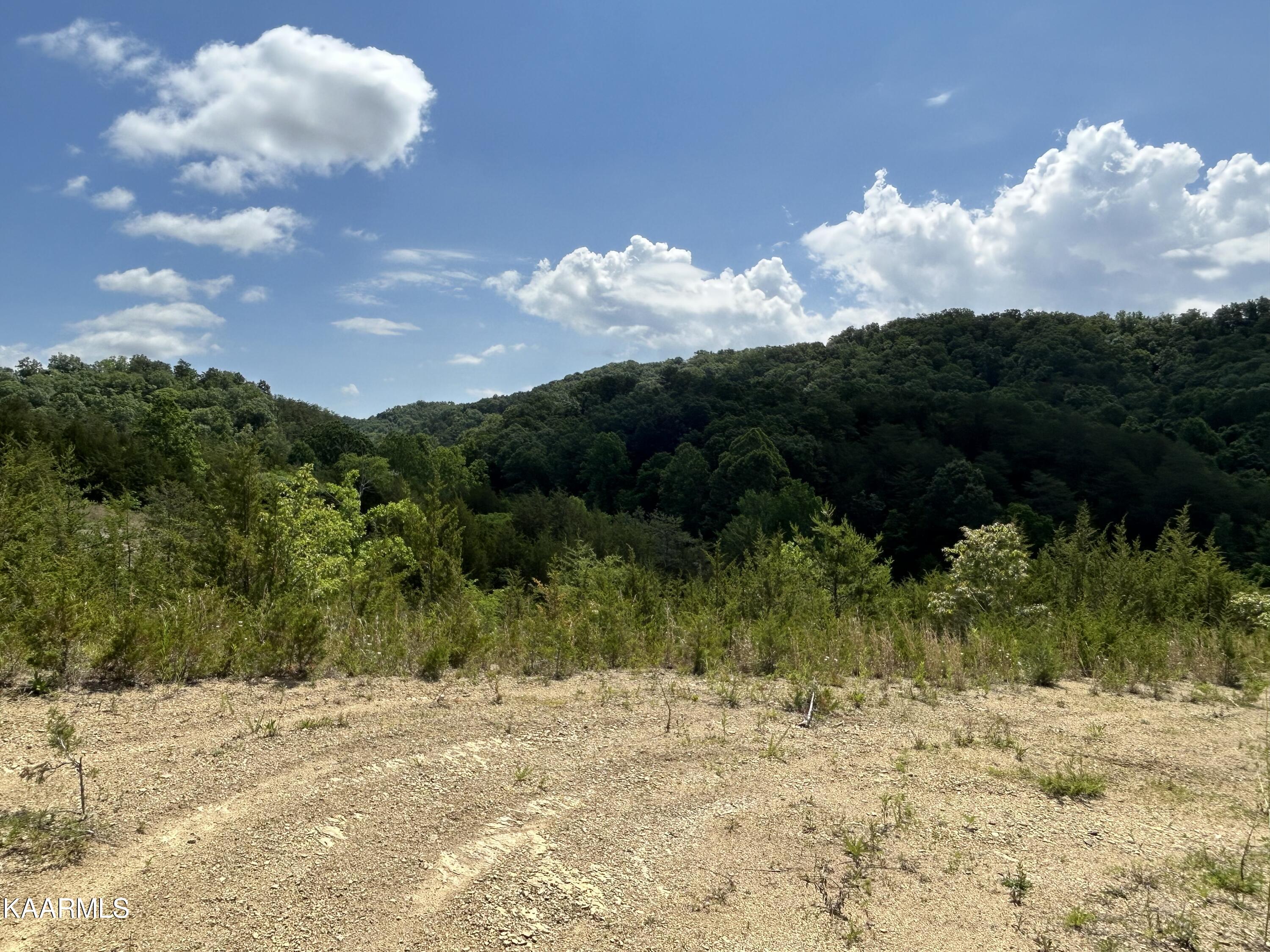 143 Lautner Road Bulls Gap, TN 37711 - Photo 13 of 19 IMG-7529