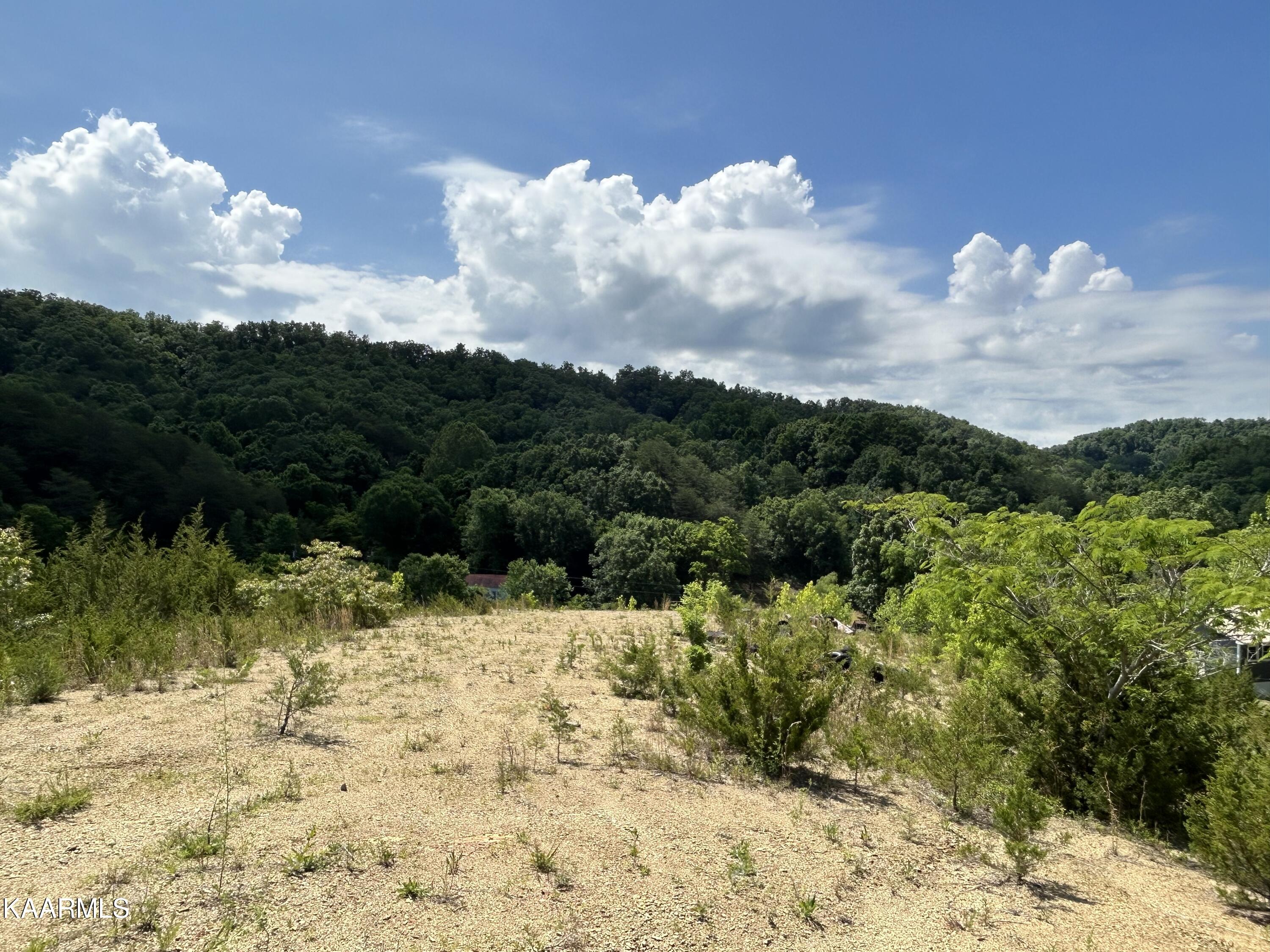 143 Lautner Road Bulls Gap, TN 37711 - Photo 14 of 19 IMG-7528