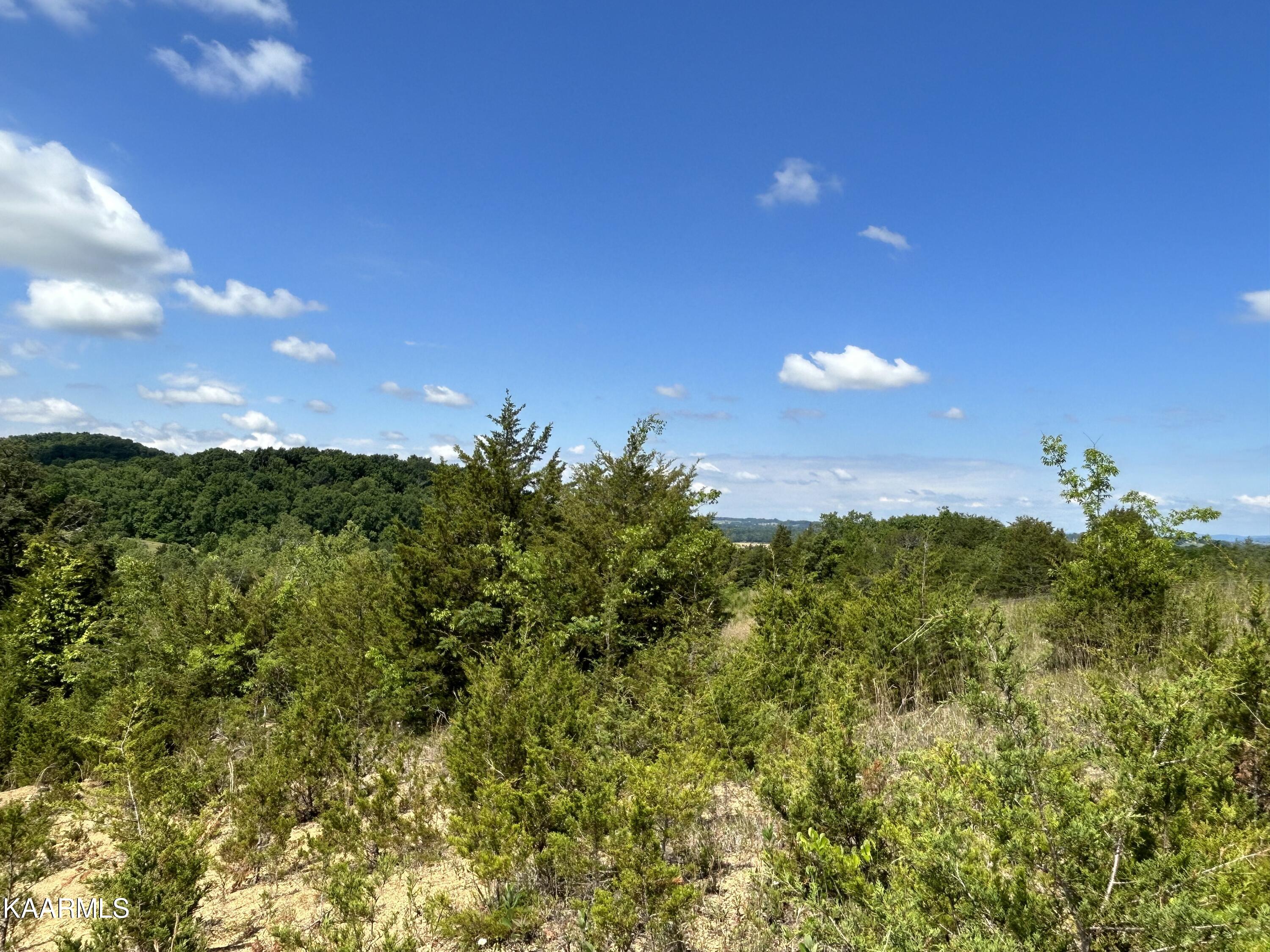 143 Lautner Road Bulls Gap, TN 37711 - Photo 15 of 19 IMG-7527
