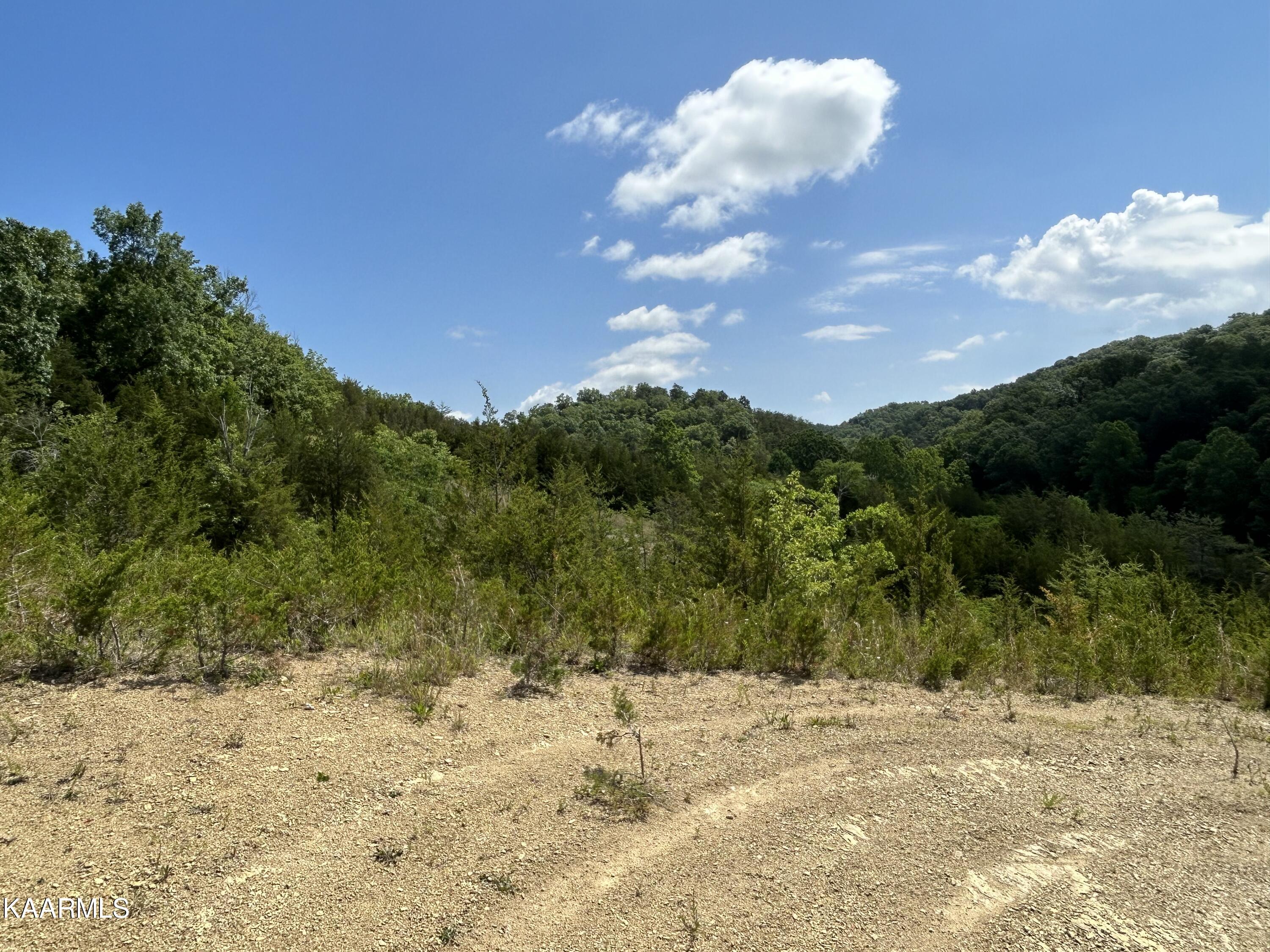 143 Lautner Road Bulls Gap, TN 37711 - Photo 5 of 19 IMG-7530