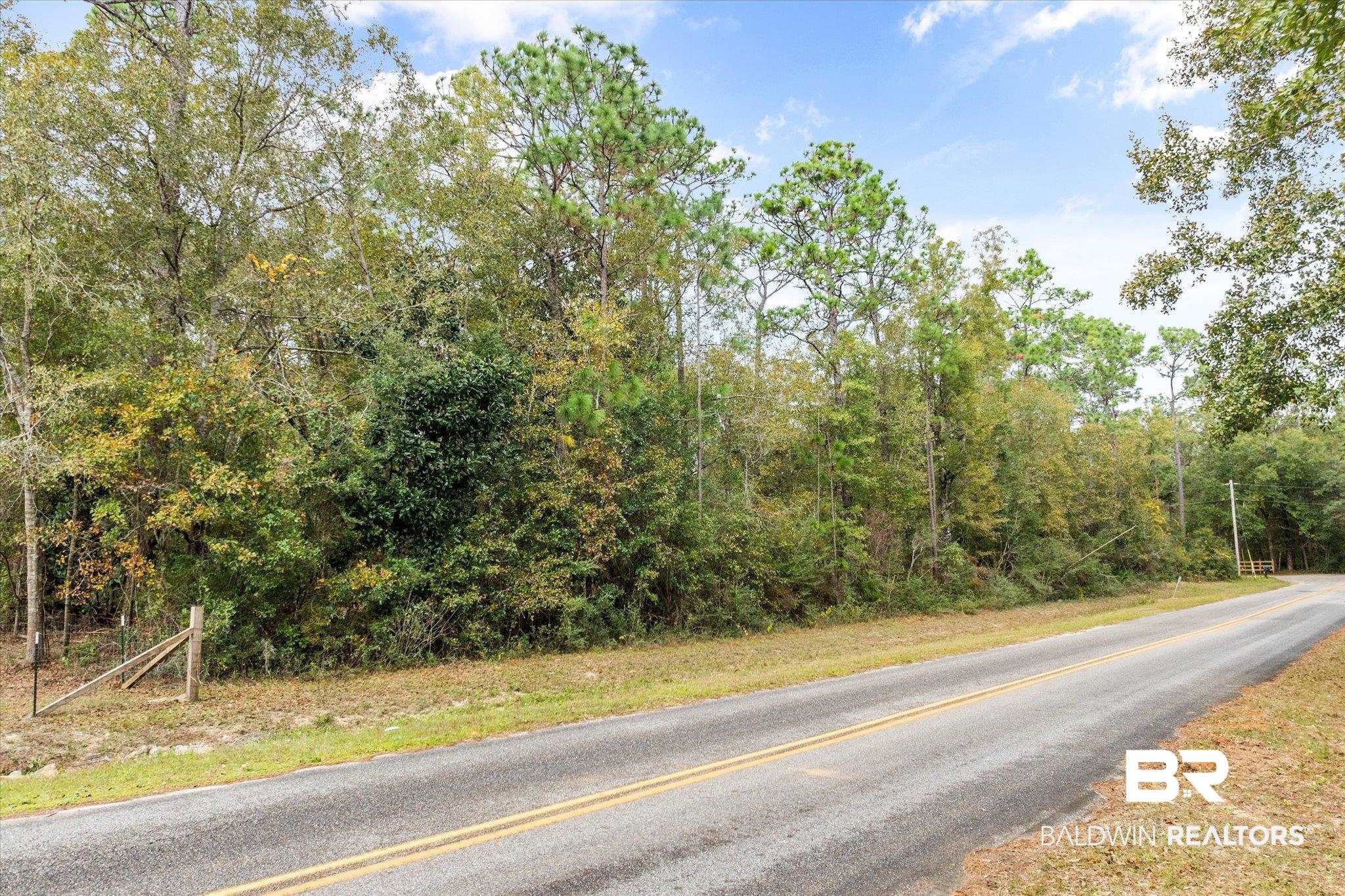 0 Coleman Lane Elberta, AL 36530 - Photo 2 of 15 View of street