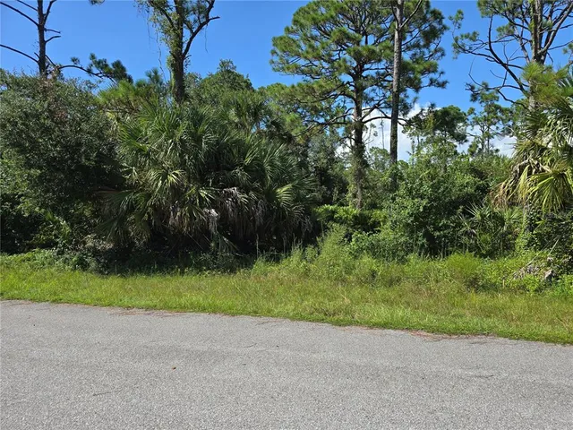a view of a yard with plants and trees