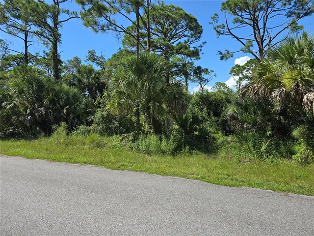 a view of a yard with plants and large trees