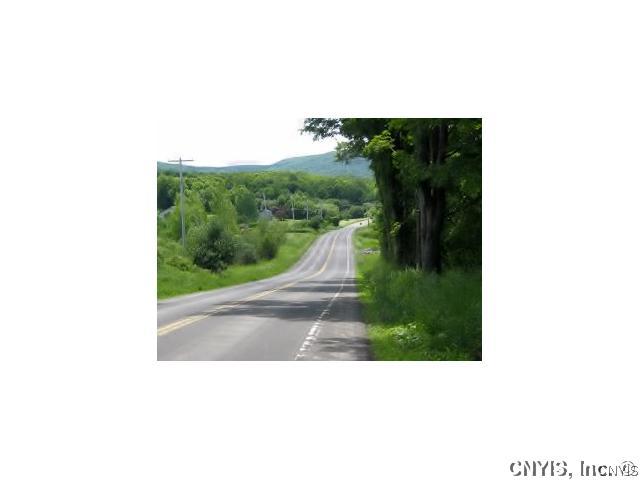 0 Berwyn Road La Fayette, NY 13084 - Photo 1 of 1 Exterior Front Lot on right side heading to Route