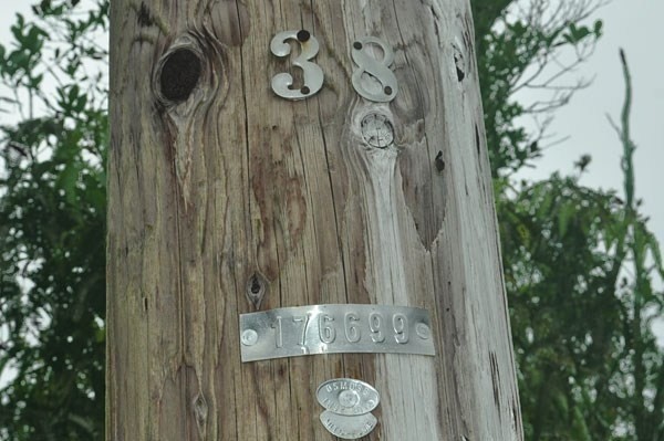 31 Leila Road Mountain View, HI 96771 - Photo 3 of 7