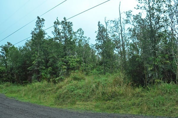 31 Leila Road Mountain View, HI 96771 - Photo 4 of 7