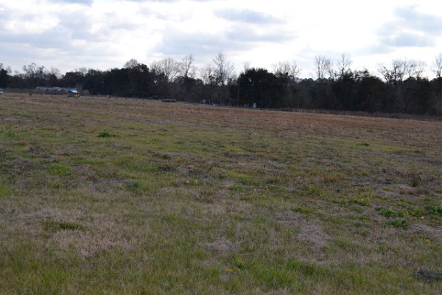 0 Dock Lamb Road Pansey, AL 36370 - Photo 1 of 1