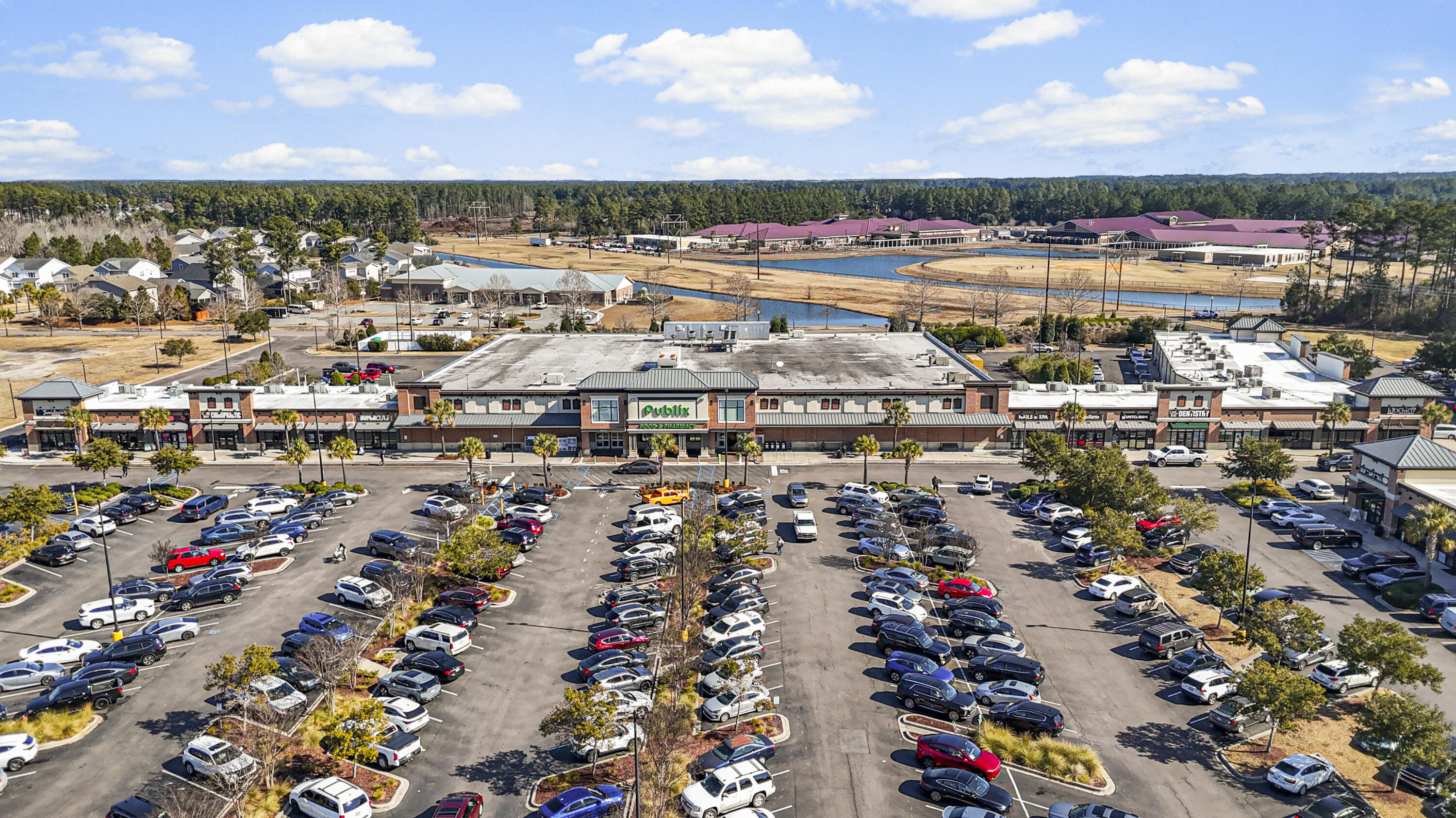 123 Riley Farms Court Summerville, SC 29486 - Photo 69 of 69 Maddie Breggia - DJI_20260206103015_0159