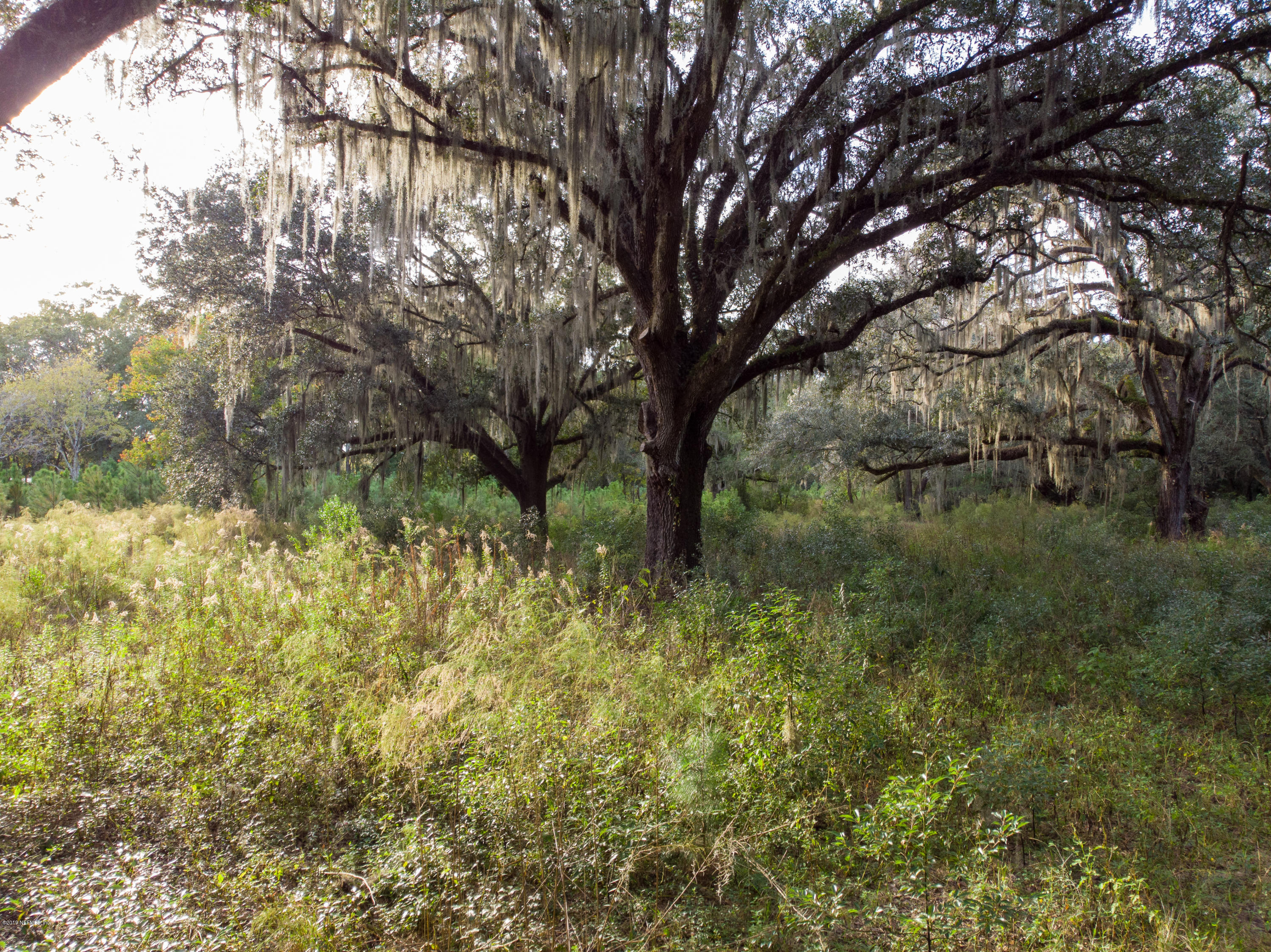 1850 Jones Road Jacksonville, FL 32220 - Photo 3 of 13 Jones Rd
