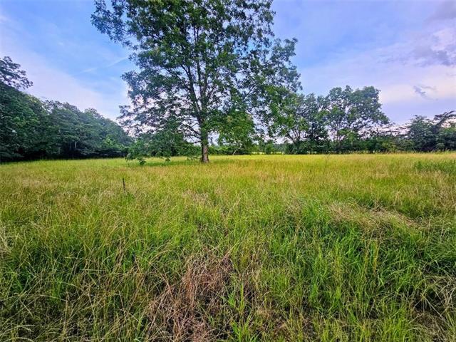197 Pritchard Road Jonesville, LA 71343 - Photo 2 of 6