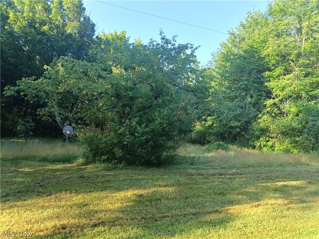 6168 Twitchell Road Andover, OH 44003 - Photo 14 of 14