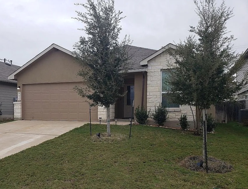a backyard of a house with plants and large tree