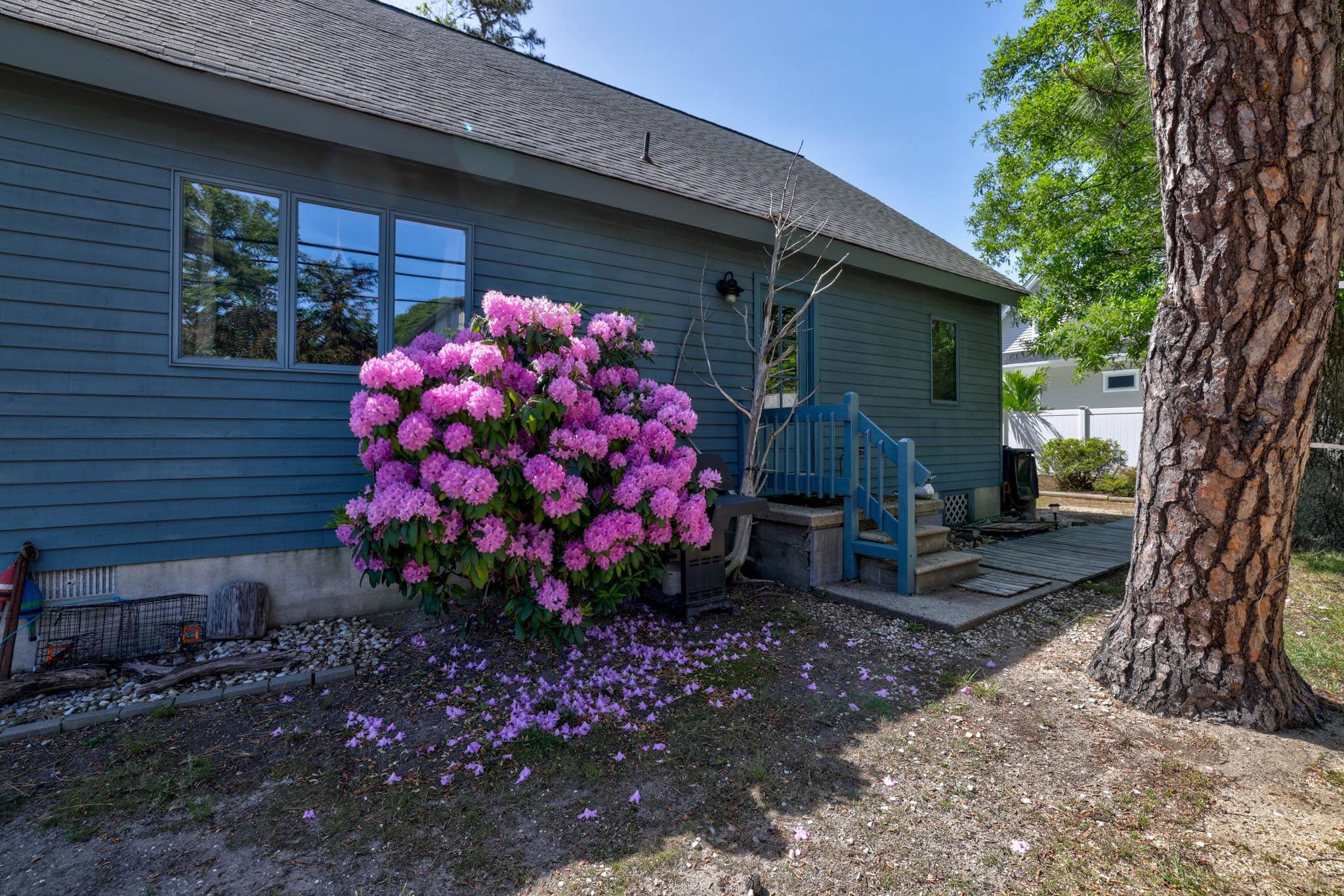 29 Cedarbrook Road Cape May, NJ 08204 - Photo 21 of 28 a front view of a house with a yard