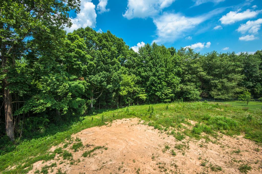 807 Blakemore Road Dickson, TN 37055 - Photo 21 of 26 a backyard of a house with lots of green space