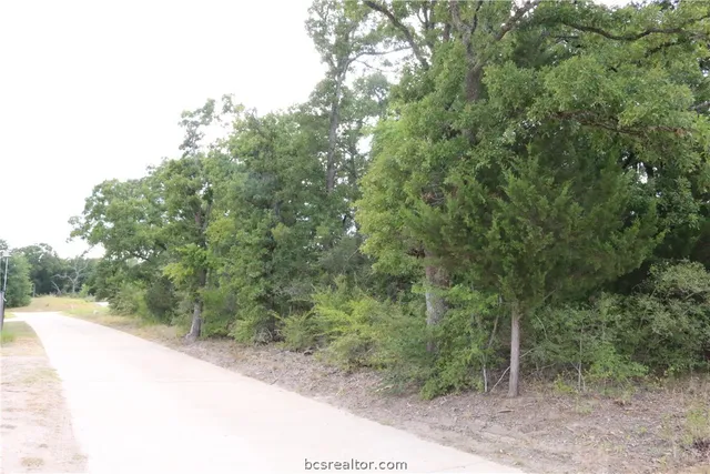 a view of a road with trees in the background