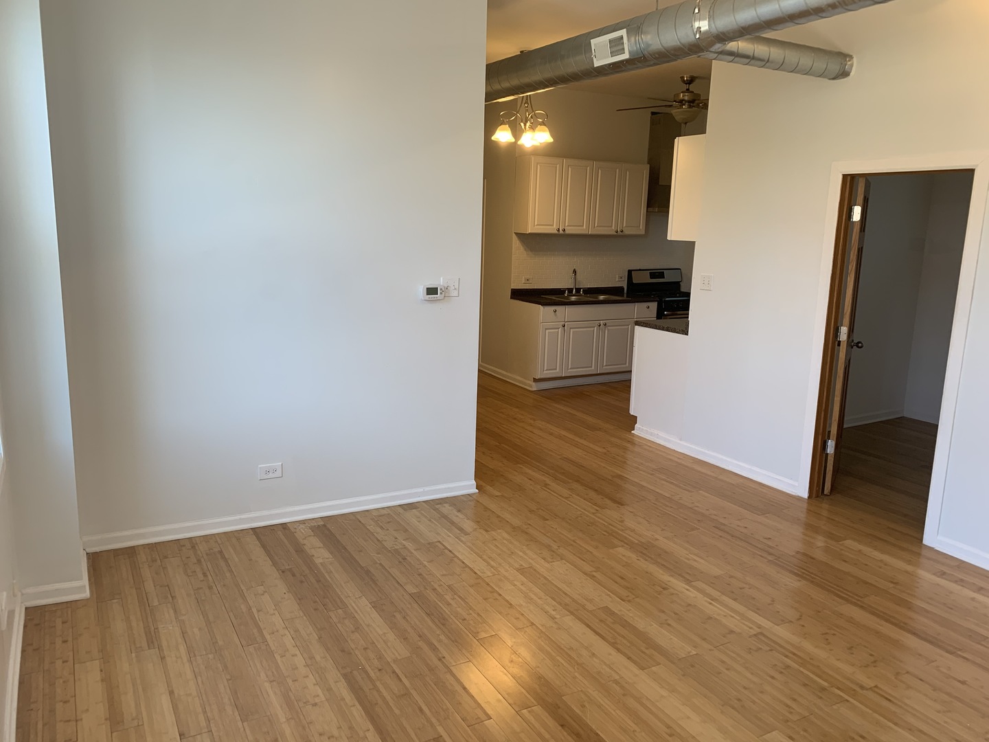 543 North Noble Street, Unit 3R Chicago, IL 60642 - Photo 3 of 9