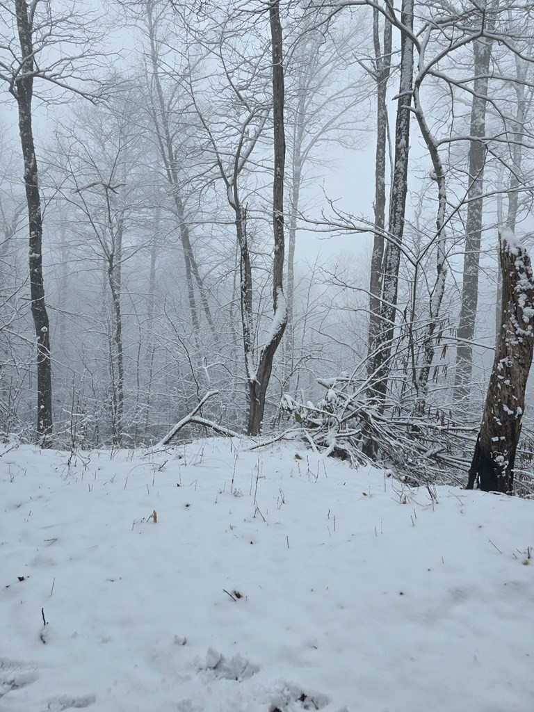 795 Porter Field Gap Road Robbinsville, NC 28771 - Photo 31 of 105