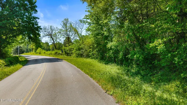 $85,000 | 0 County Road 62, Riceville, TN 37370