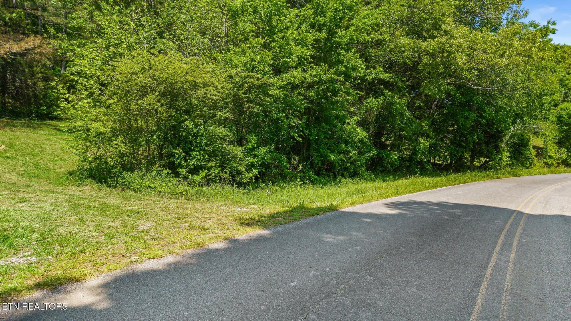 0 County Road 62 Riceville, TN 37370 - Photo 13 of 13 cr 62 10