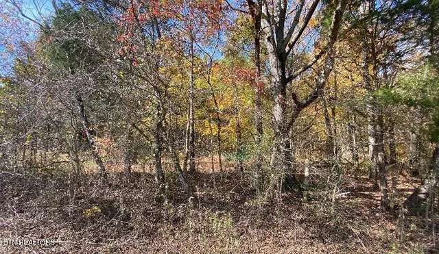 $85,000 | 0 County Road 62, Riceville, TN 37370