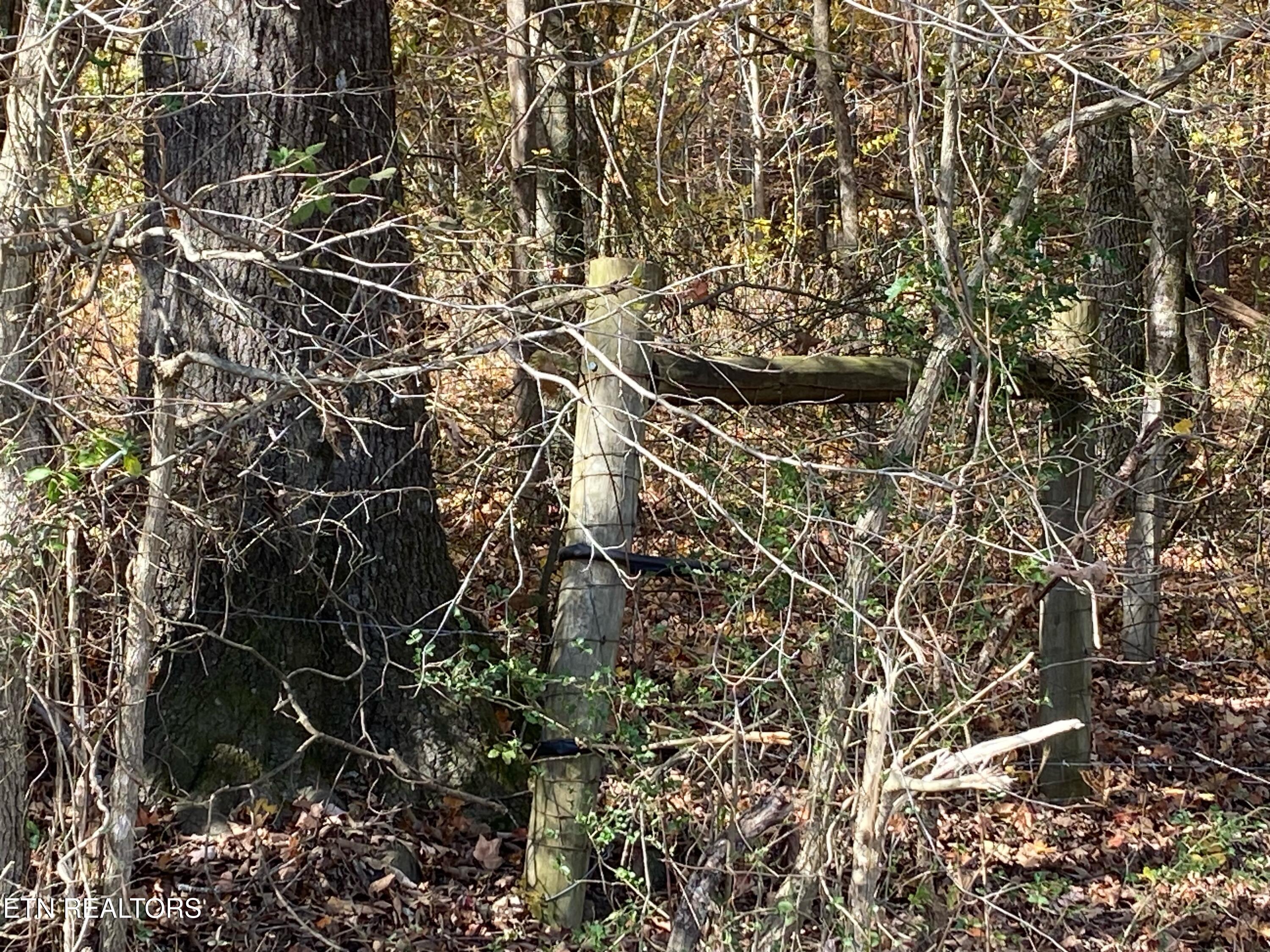 0 County Road 62 Riceville, TN 37370 - Photo 3 of 13 IMG_2948