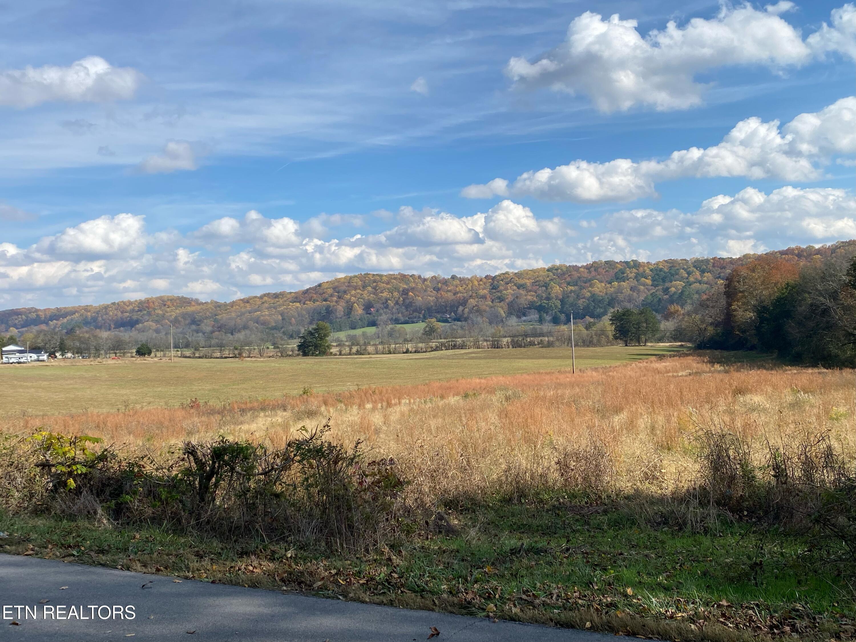 0 County Road 62 Riceville, TN 37370 - Photo 4 of 13 IMG_2951