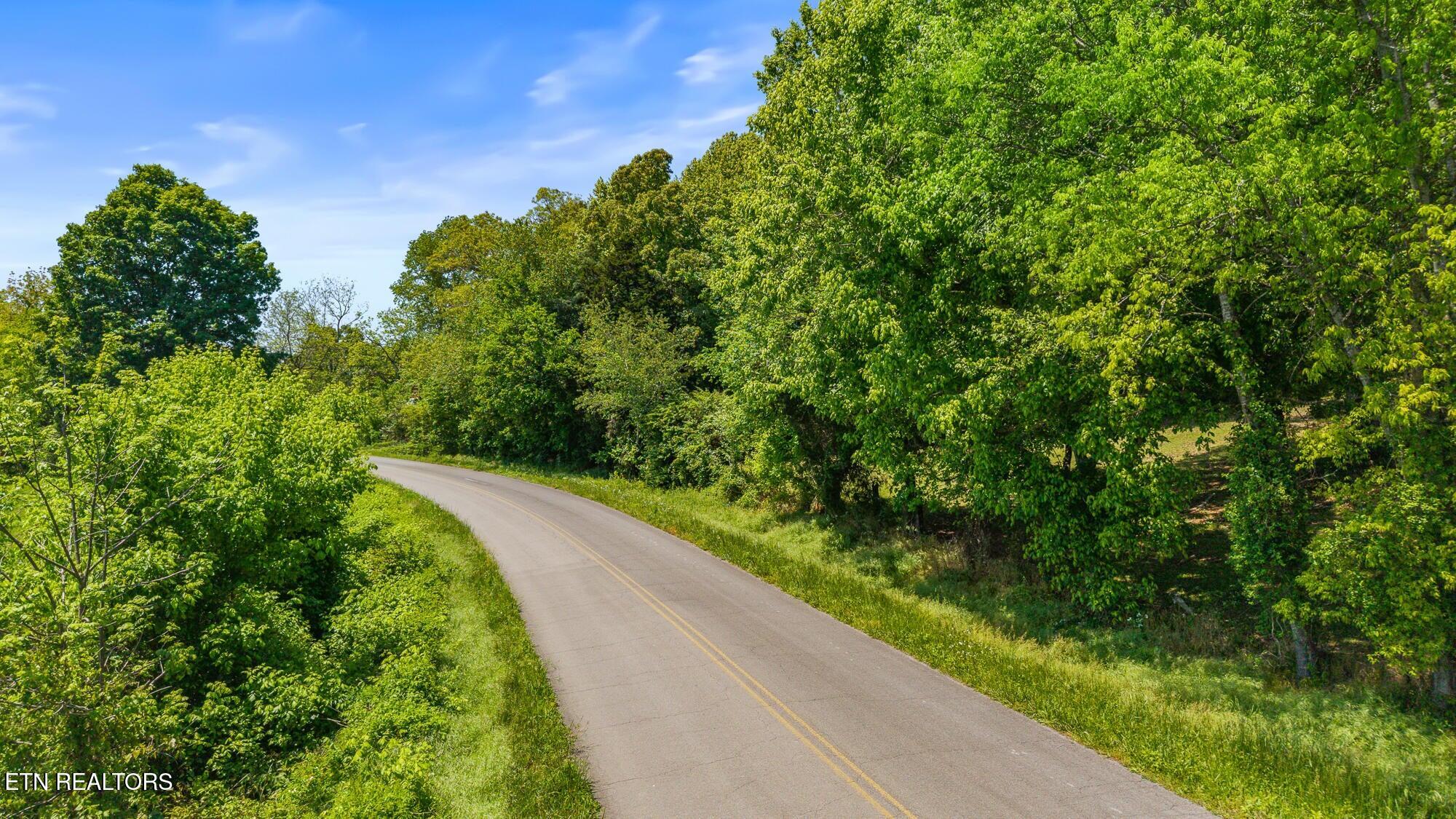 0 County Road 62 Riceville, TN 37370 - Photo 5 of 13 cr 62 2