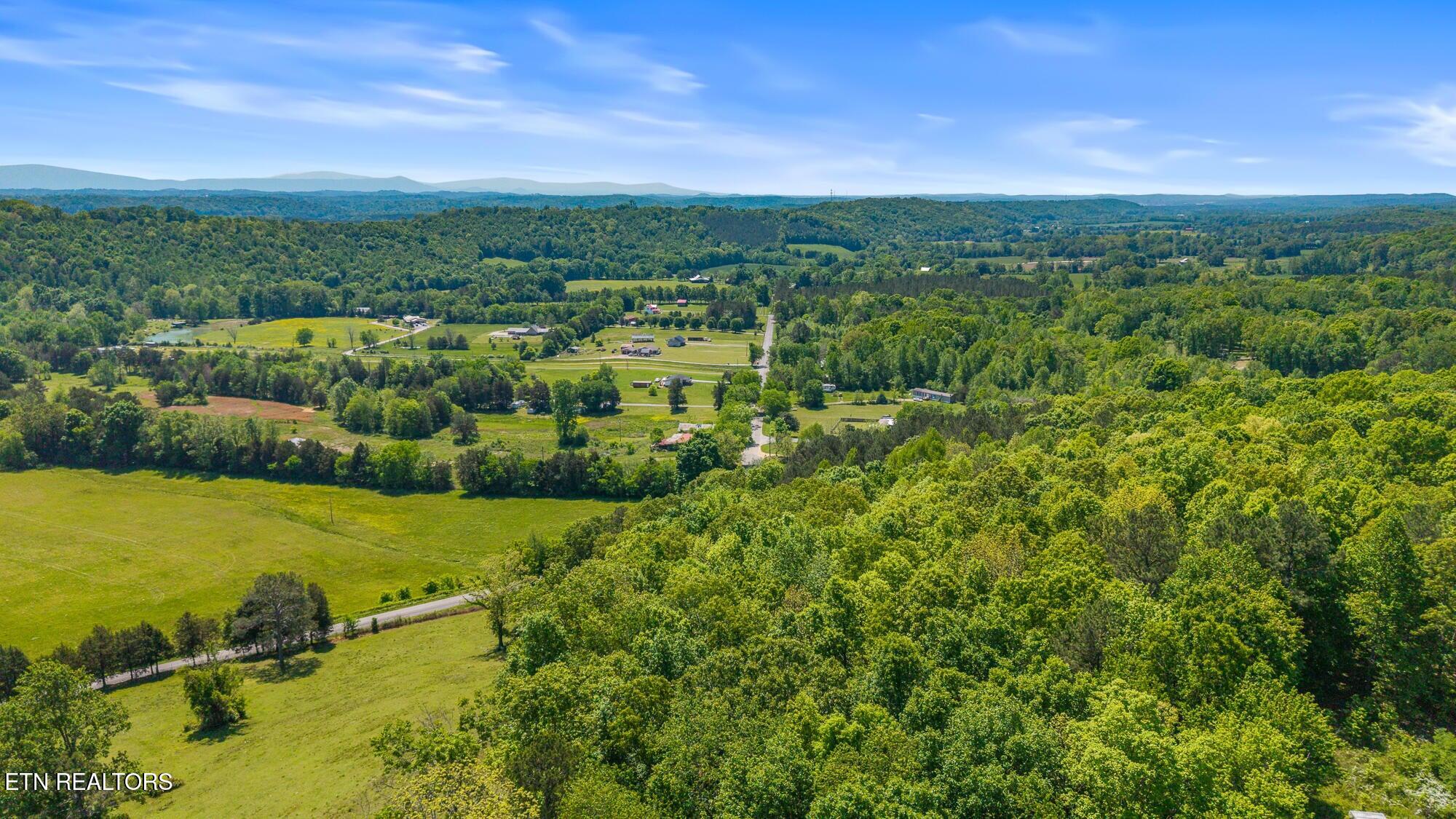 0 County Road 62 Riceville, TN 37370 - Photo 9 of 13 cr 62 6