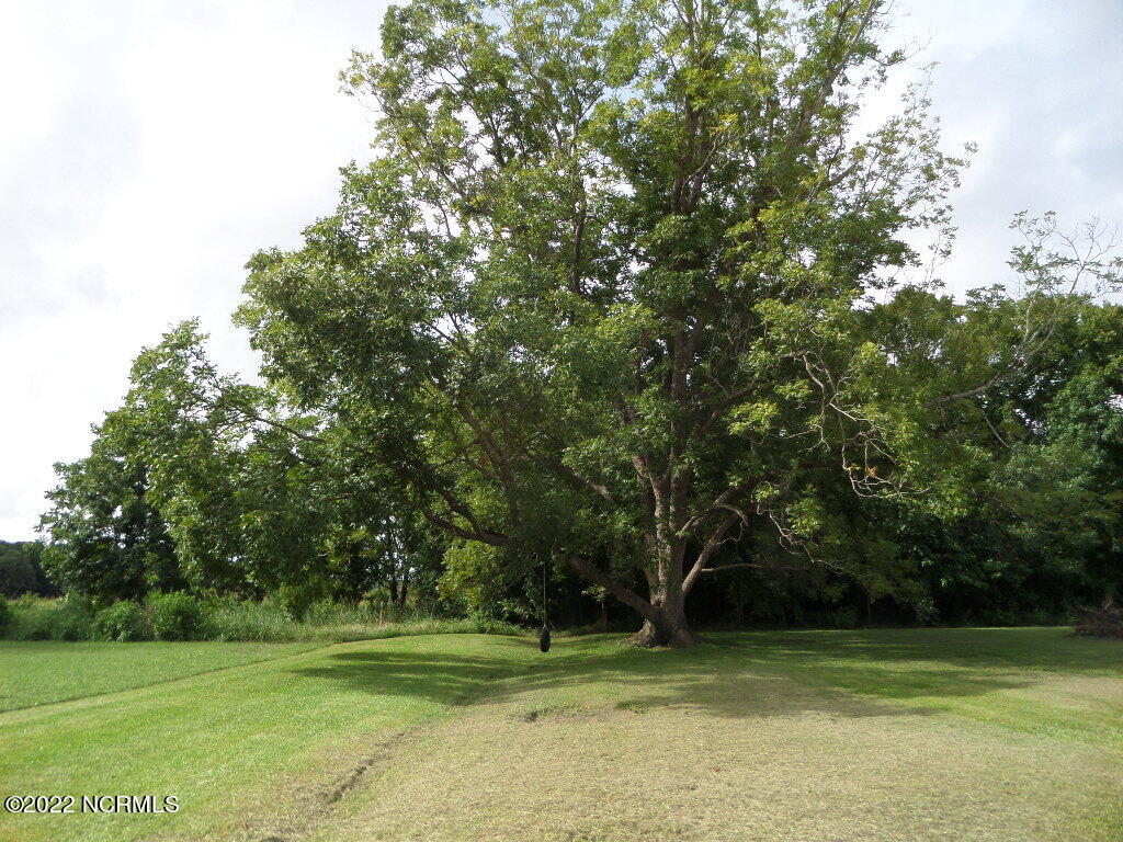 1901 Puddin Hill Road Scranton, NC 27875 - Photo 61 of 69 Back Property