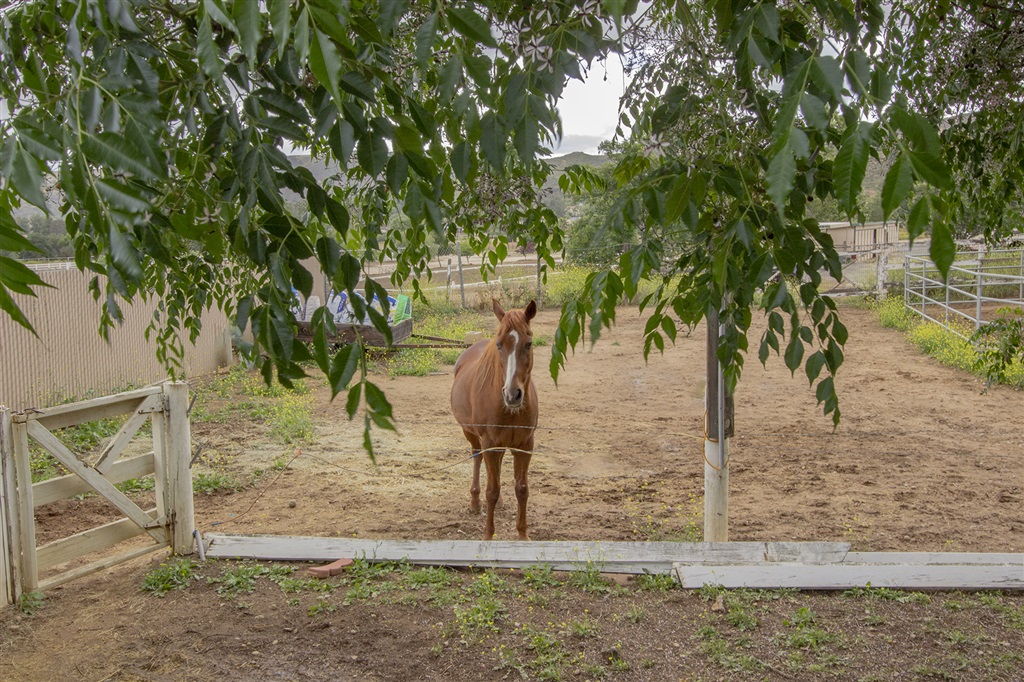 16740 Republican Way Ramona, CA 92065 - Photo 23 of 24